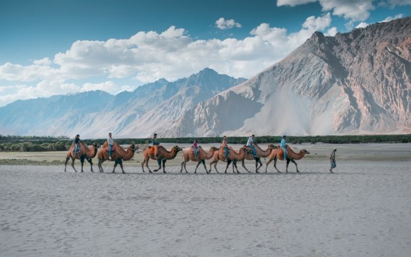 Leh Ladakh Road Trip with Turtuk (Ex-Leh, 6N/7D)