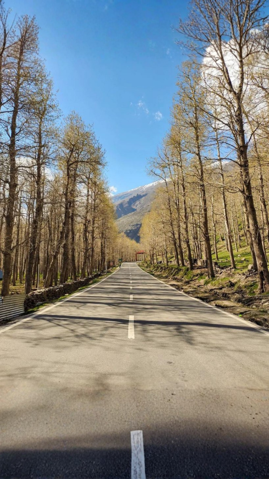 Lahaul Valley Sojourn