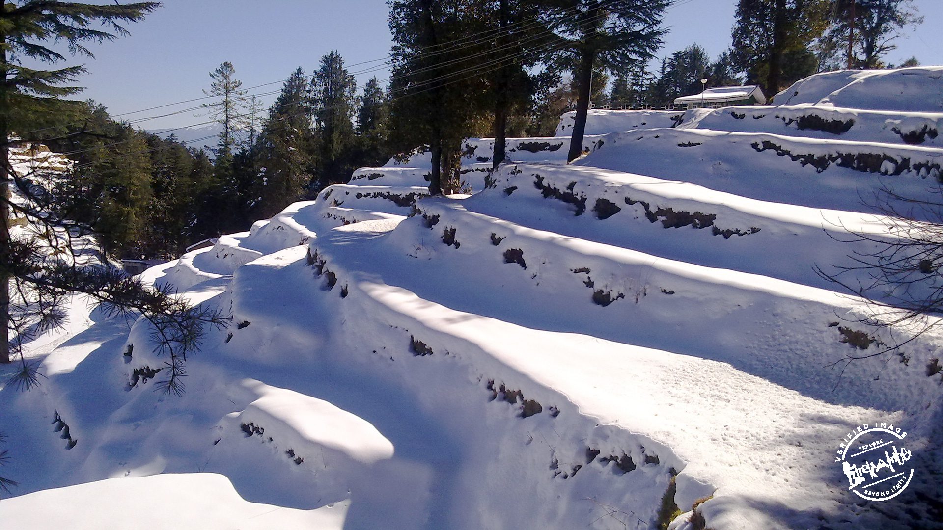 Snowfall in Shimla