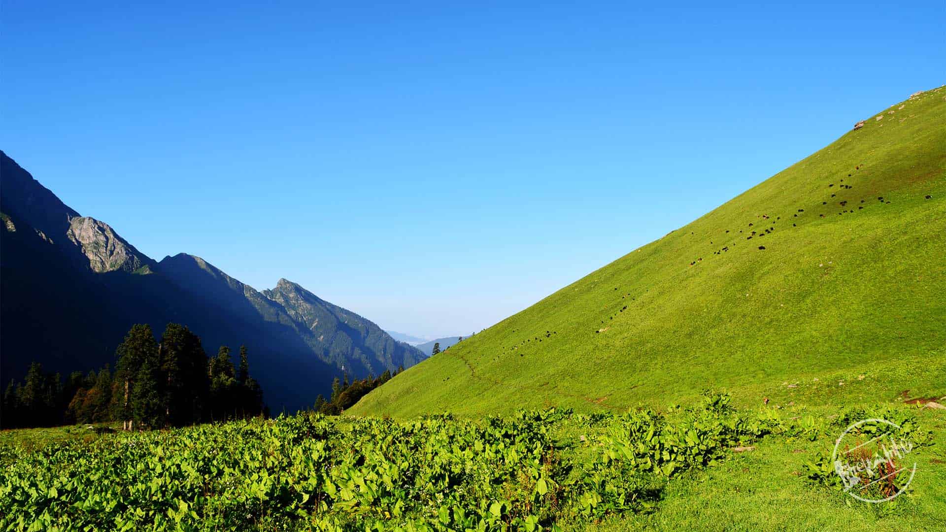 Chandernahan lake Trek -Himalayan Grasslands