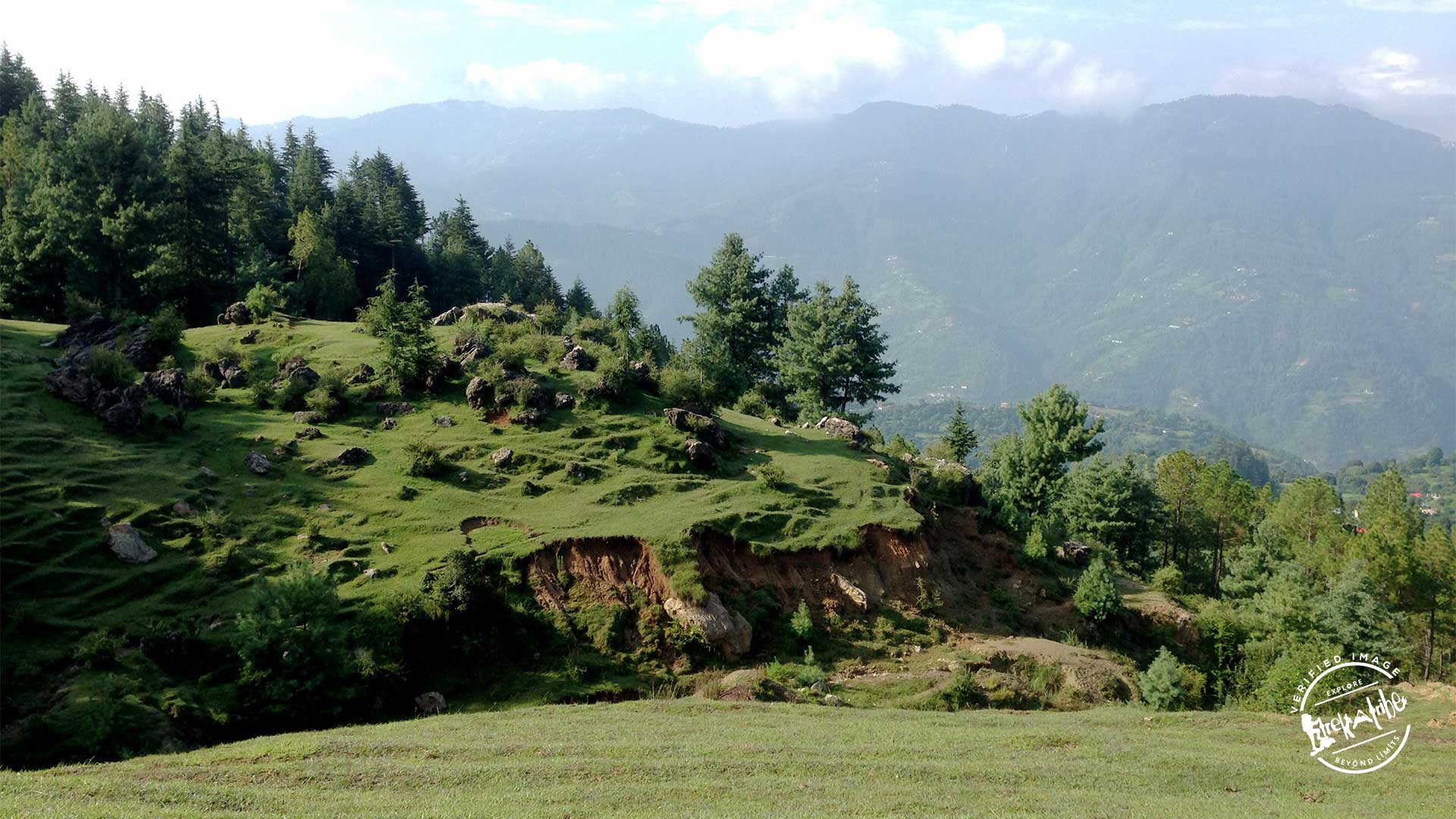 Trek To Shali Tibba - Shimla