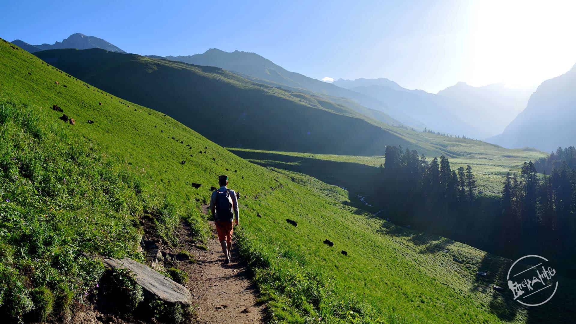 Trek to Chandernahan lake - Pabbar Valley