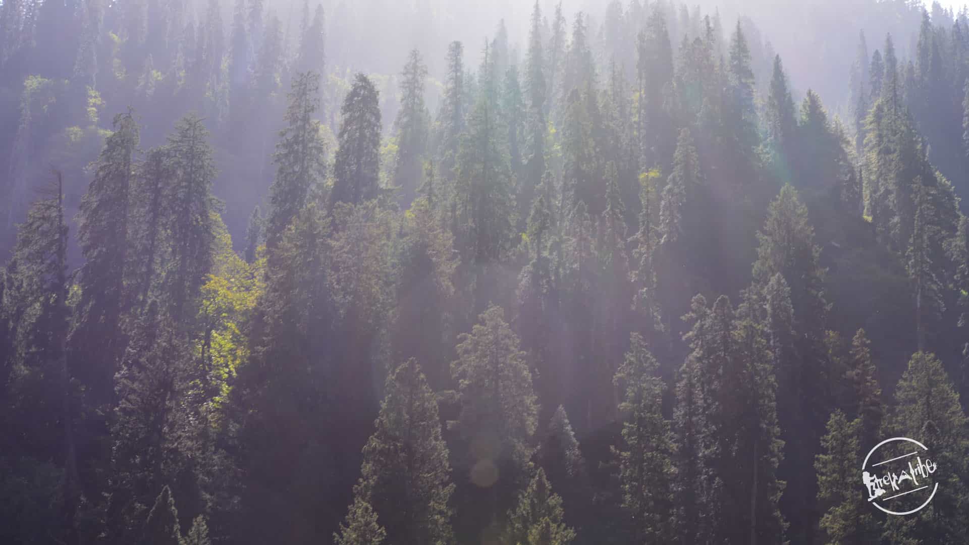 waichin valley trek