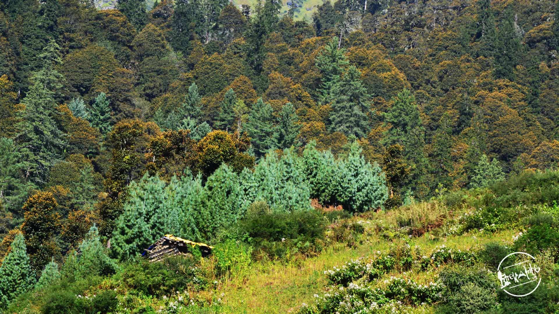 waichin valley trek