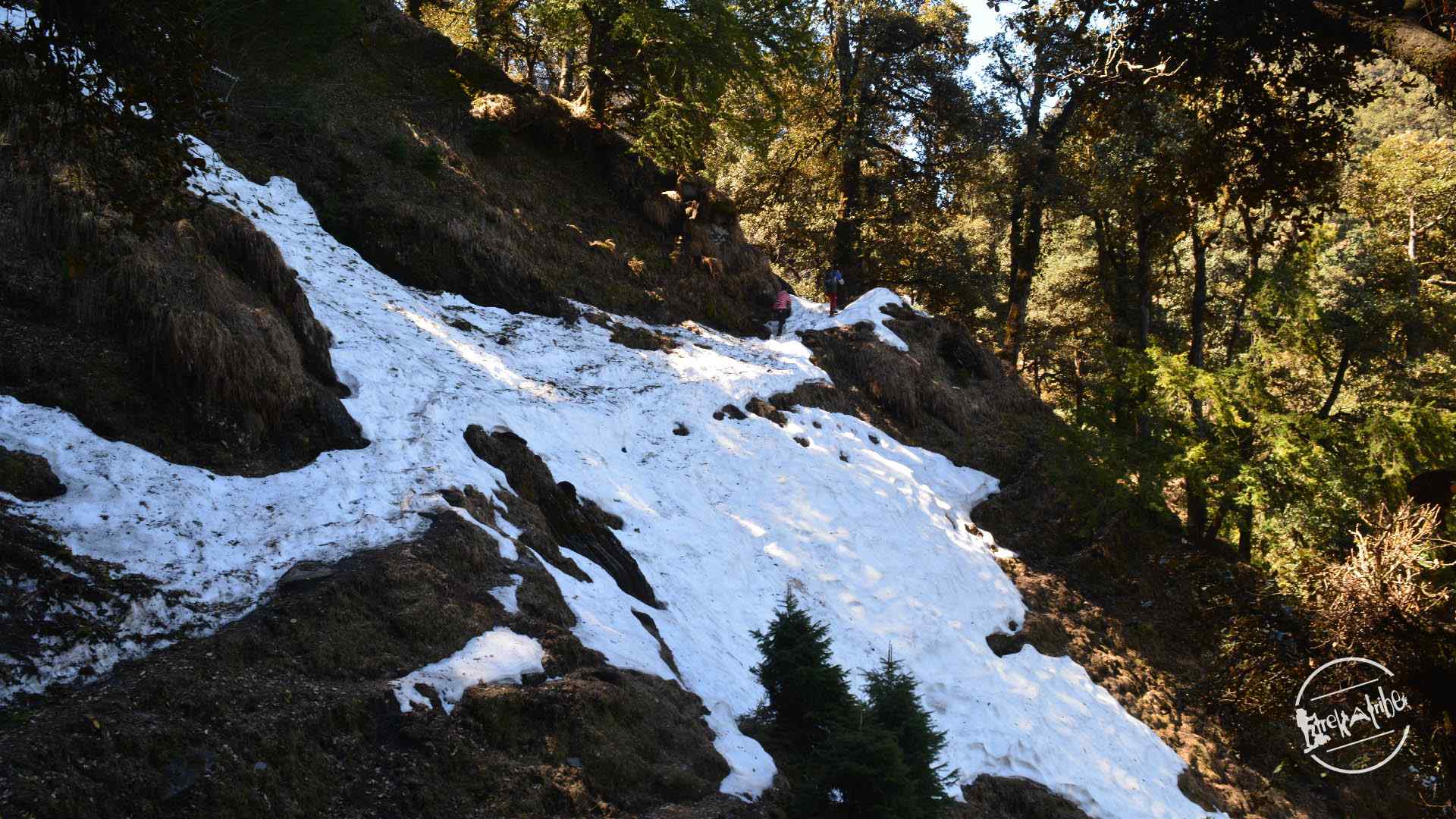 thachi valley mandi, himachal (13)