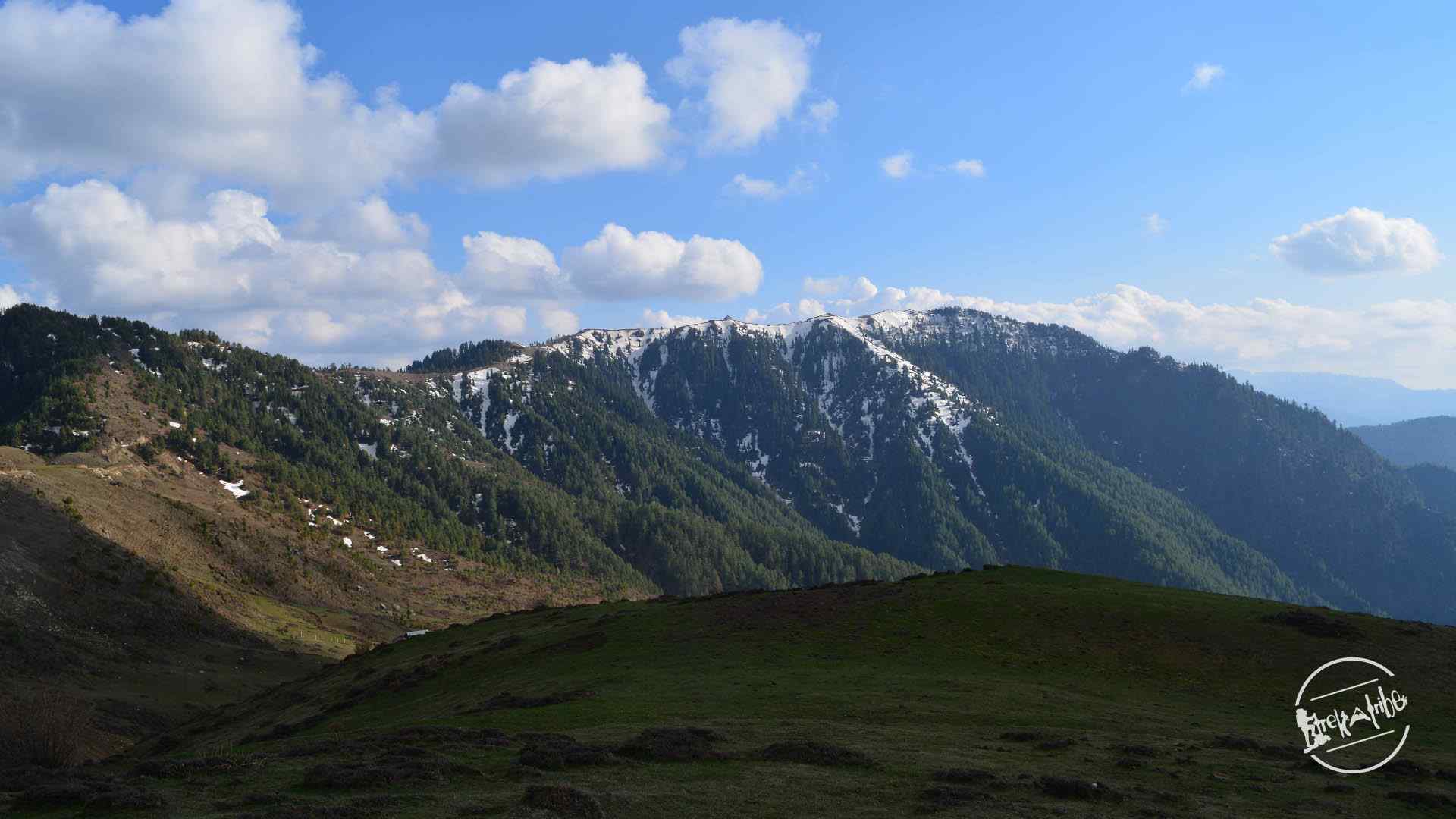 thachi valley mandi, himachal (3)