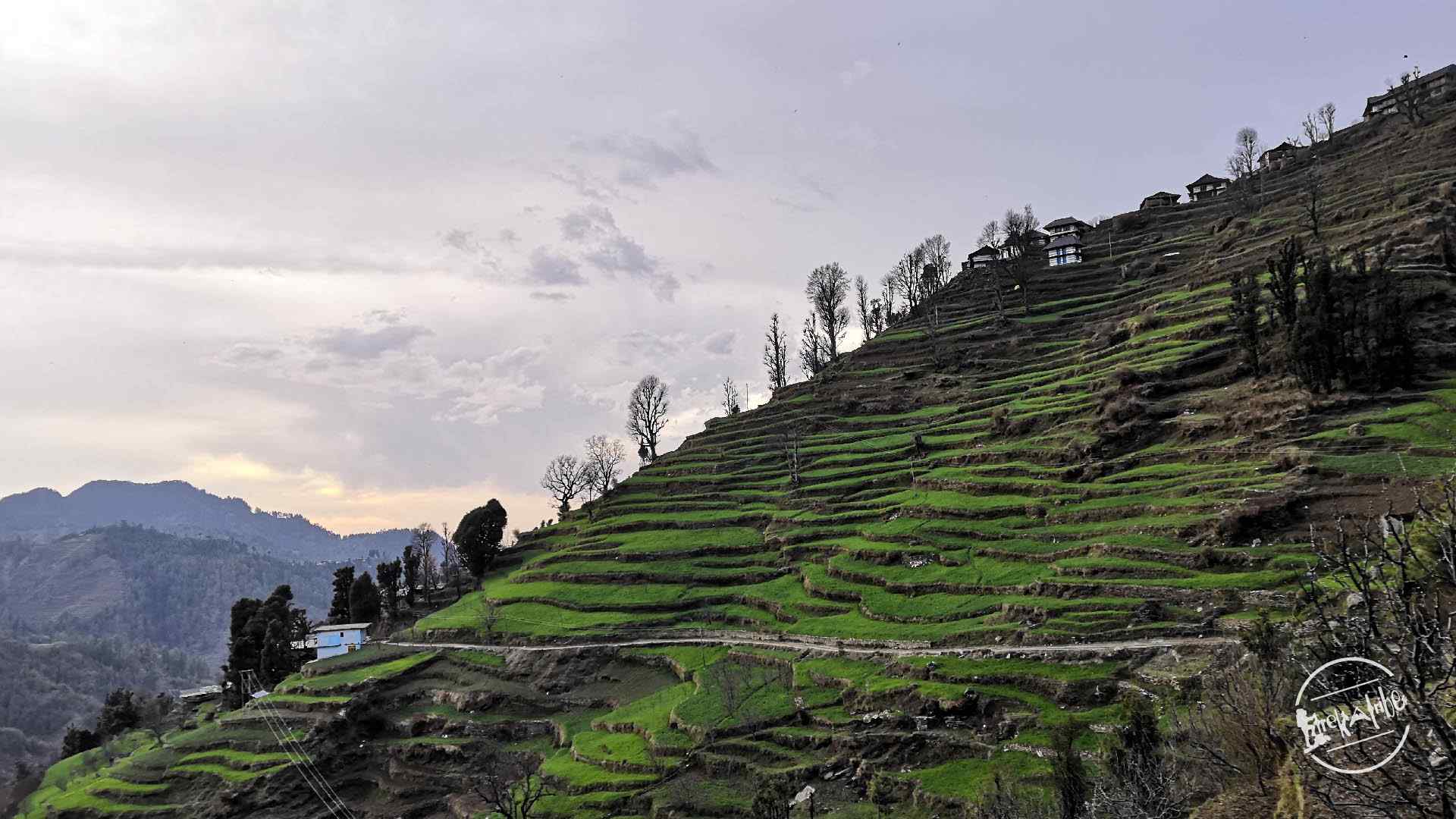 thachi valley mandi, himachal (31)