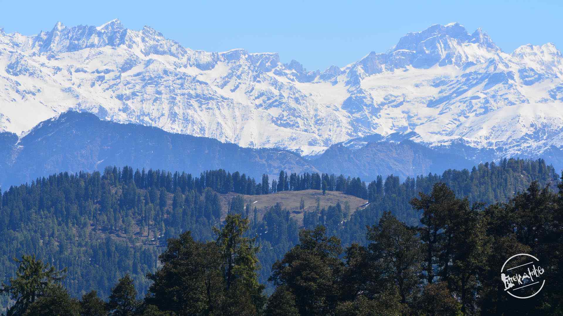 thachi valley mandi, himachal (38)