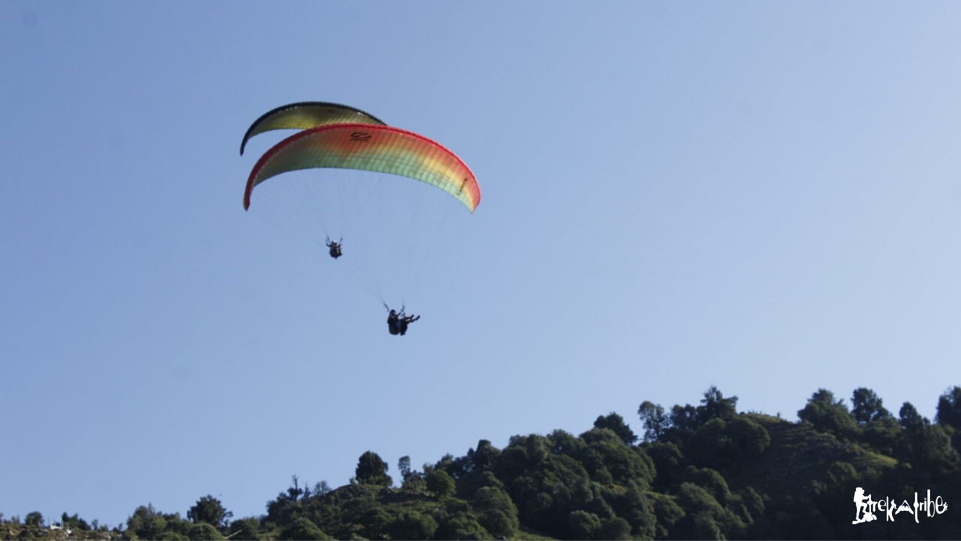 Bir Billing Paragliding