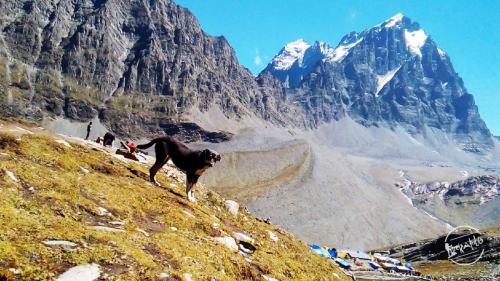 Manimahesh Lake Peak At Bharmour, Chamba