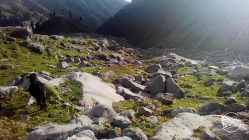 Indrahar Pass Trekking 