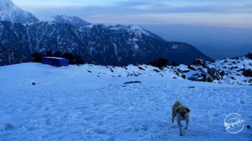 Triund Trekking 