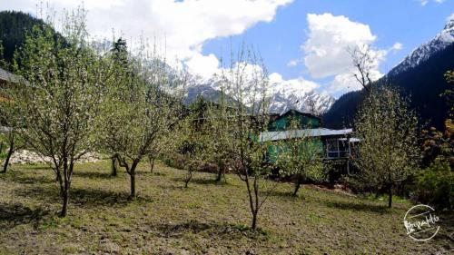 grahan trek - apple orchards