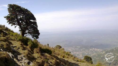 Triund Trekking (1)-min