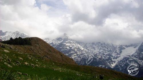 Triund Trekking (15)-min