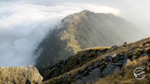 Triund Trekking (21)-min