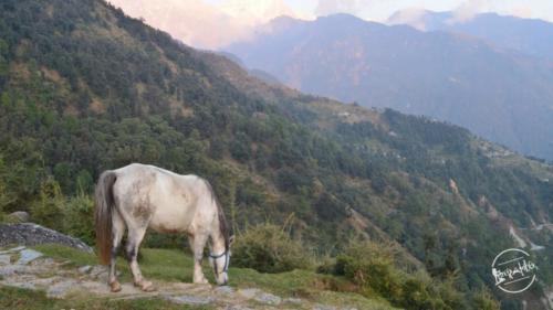 kareri lake trek (10)