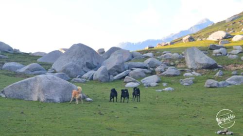 kareri lake trek (18)