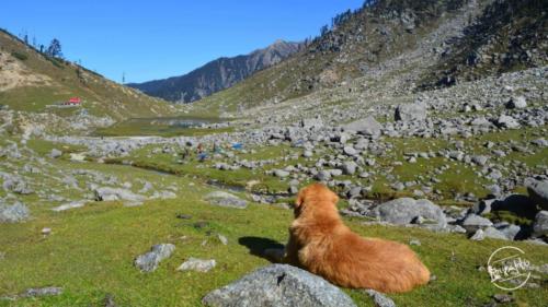 kareri lake trek (29)